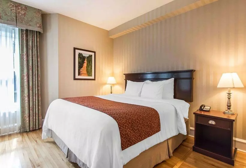 酒店 Quality Inn & Suites Downtown