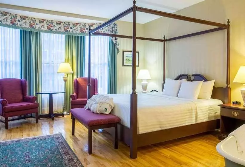 酒店 Quality Inn & Suites Downtown