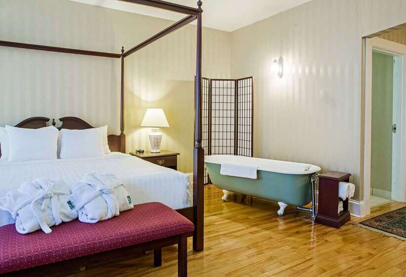 هتل Quality Inn & Suites Downtown