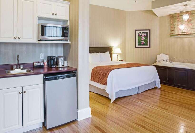 هتل Quality Inn & Suites Downtown