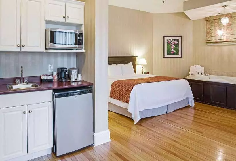 酒店 Quality Inn & Suites Downtown