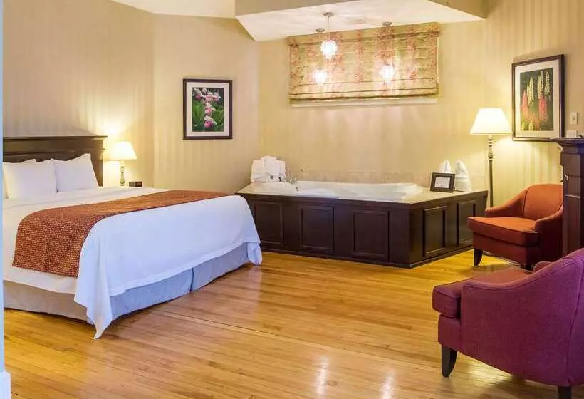 酒店 Quality Inn & Suites Downtown