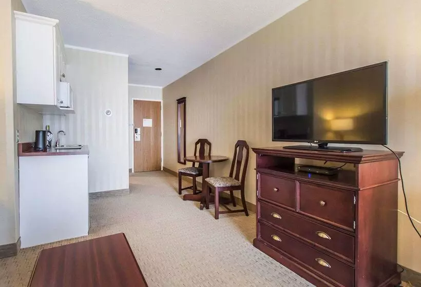 酒店 Quality Inn & Suites Downtown