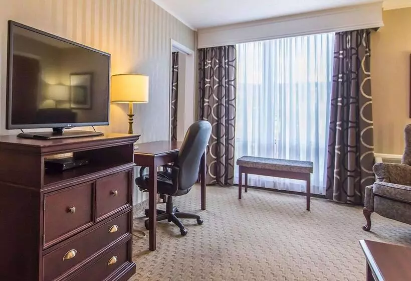 酒店 Quality Inn & Suites Downtown