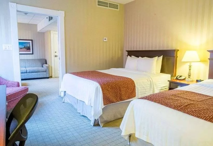 酒店 Quality Inn & Suites Downtown