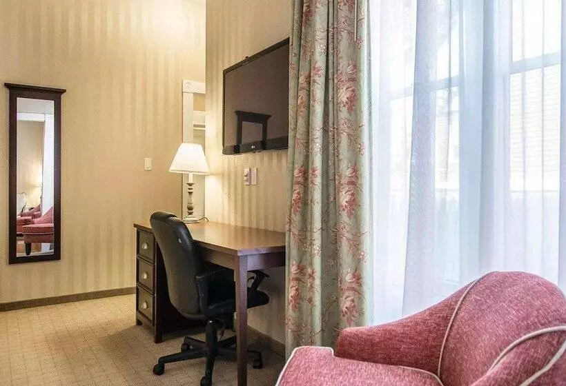 酒店 Quality Inn & Suites Downtown