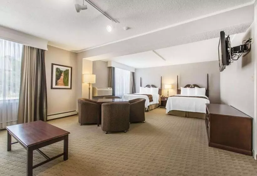 酒店 Quality Inn & Suites Downtown