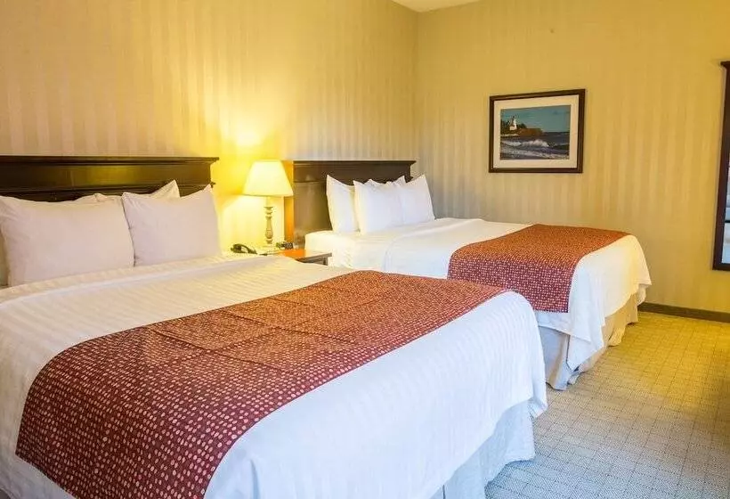 酒店 Quality Inn & Suites Downtown