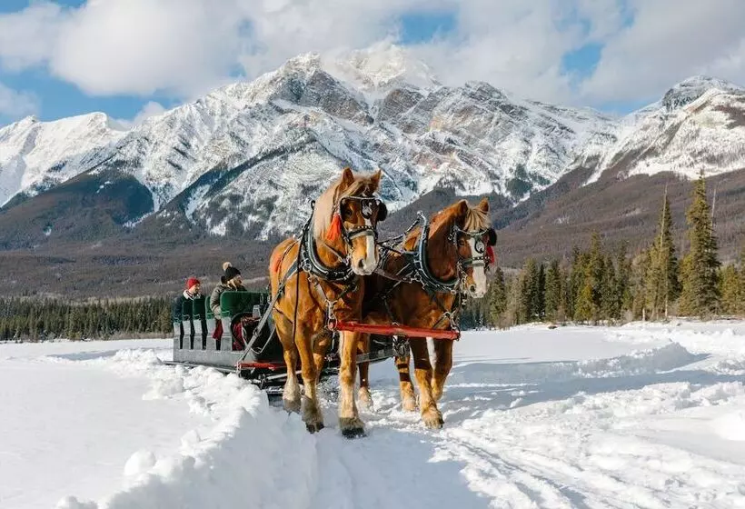 リゾートホテル Pyramid Lake Lodge