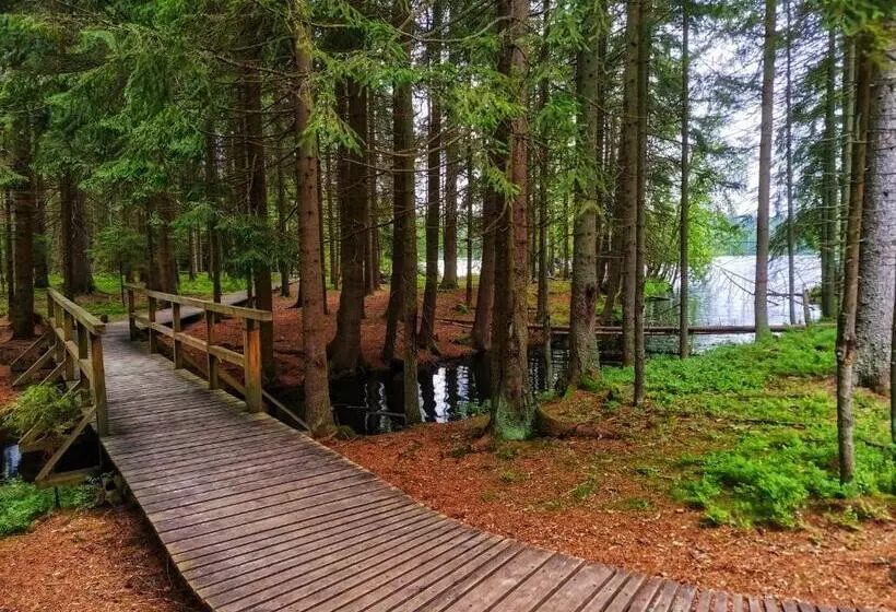 Orea Spa Hotel Cristal