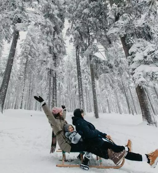 Orea Spa Hotel Cristal