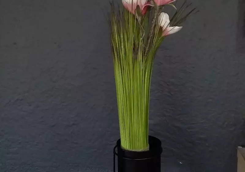 Отель Hôtel éden   Metz Nord   Woippy   Porte Du Luxembourg