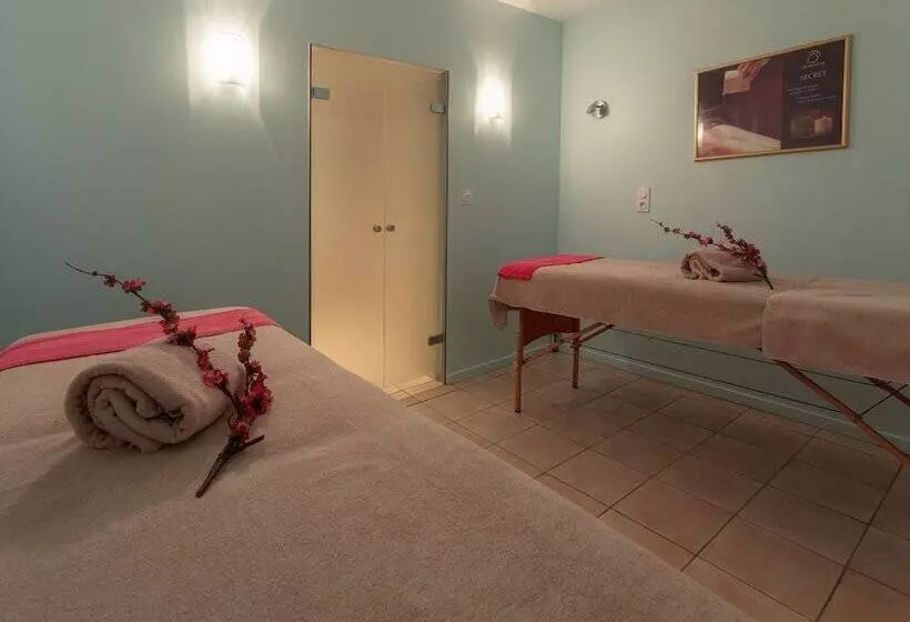 酒店 Mercure Saintnectaire Spa & Bienetre