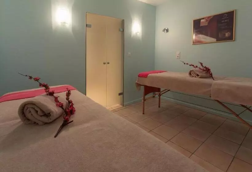 酒店 Mercure Saintnectaire Spa & Bienetre