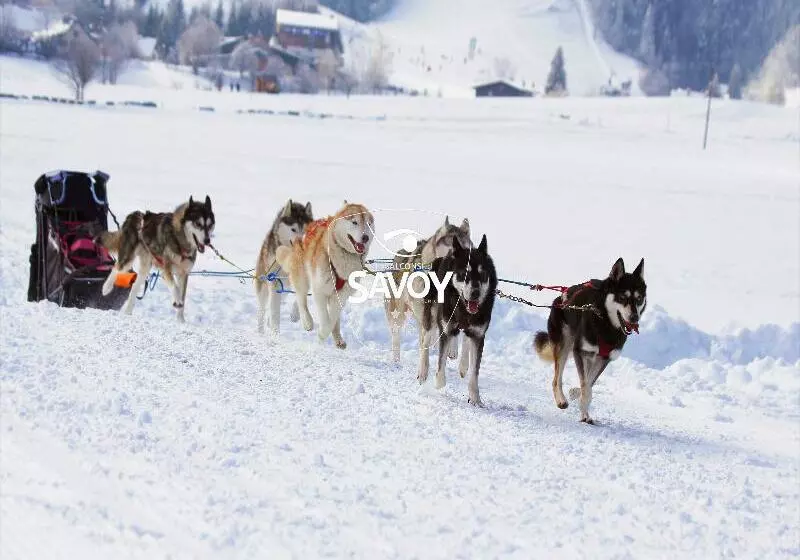 レジデンス Les Balcons Du Savoy