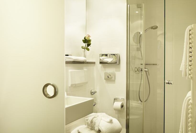 בית מלון כפרי Stadt Freiburg