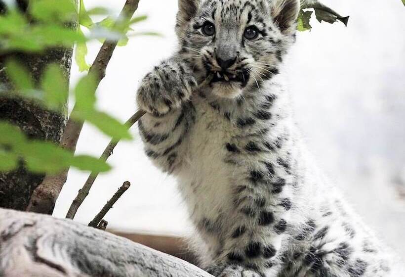 レジデンス Mercure Stuttgart Zuffenhausen