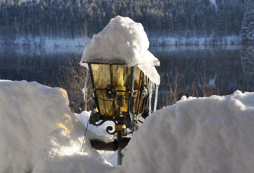 Alemannenhof   Boutique Hotel Am Titisee