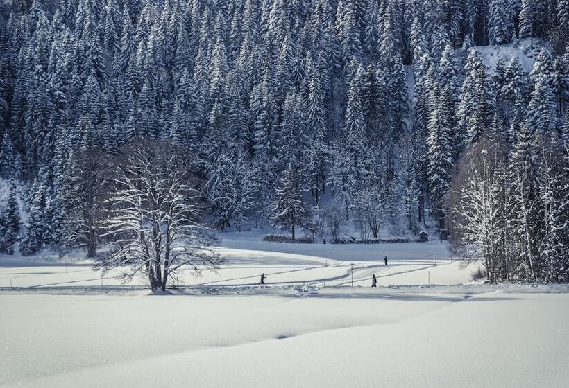 Alemannenhof   Boutique Hotel Am Titisee