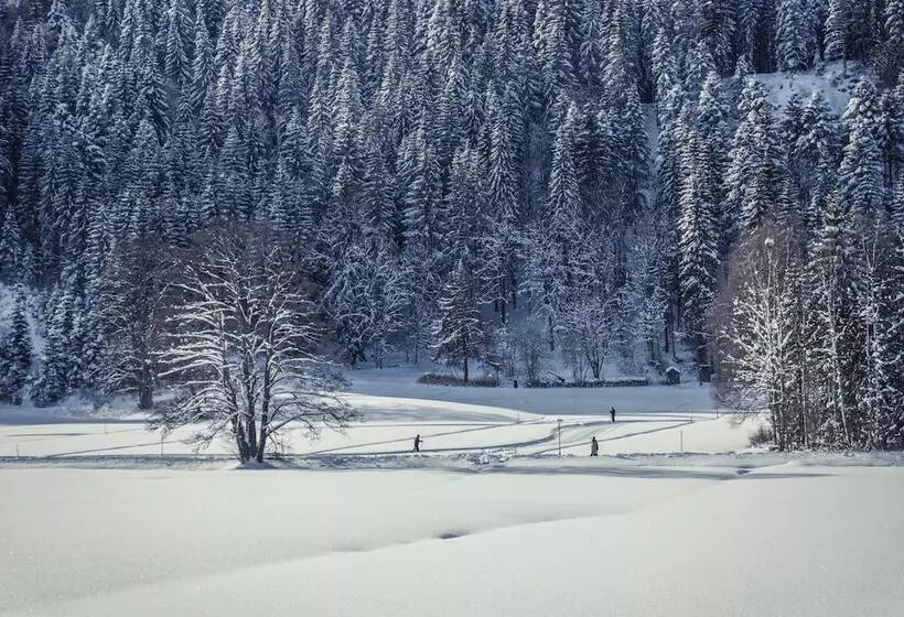 Alemannenhof Boutique Hotel Am Titisee