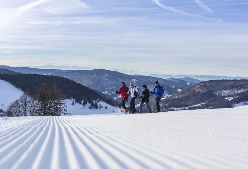 Alemannenhof   Boutique Hotel Am Titisee