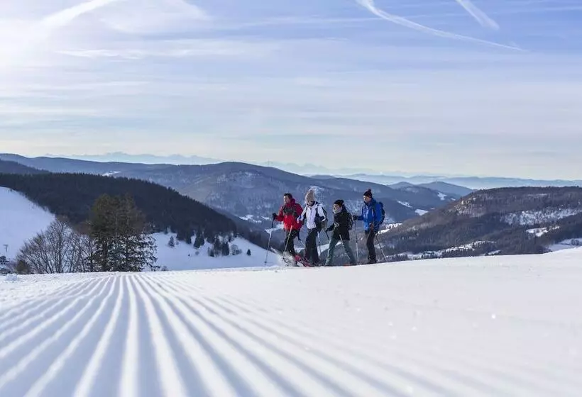Alemannenhof Boutique Hotel Am Titisee