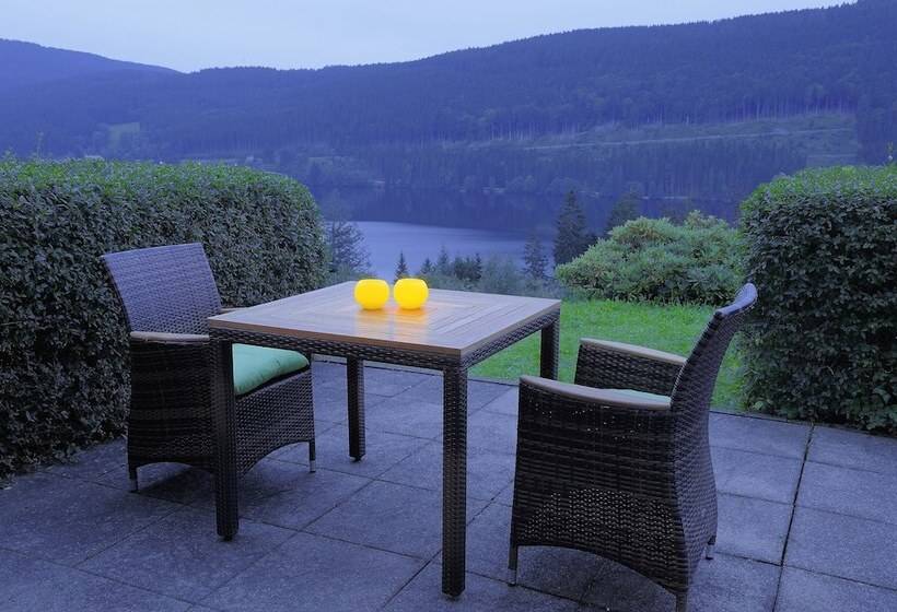 Alemannenhof   Boutique Hotel Am Titisee
