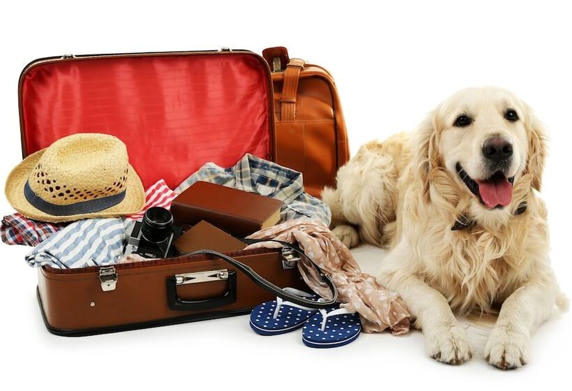 هتل Elbflorenz Dresden