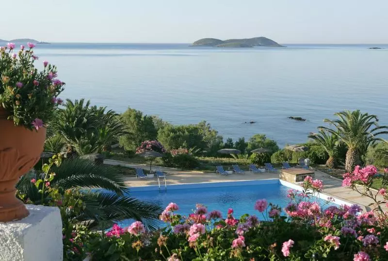 Отель Andros Holiday