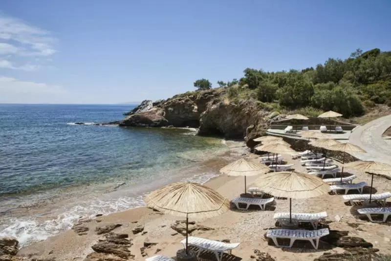 Отель Andros Holiday