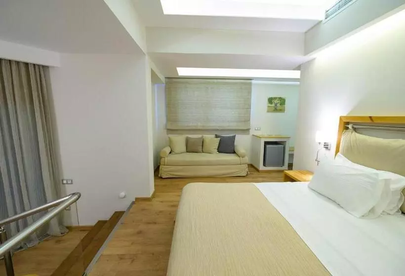 호텔 Europa Olympia