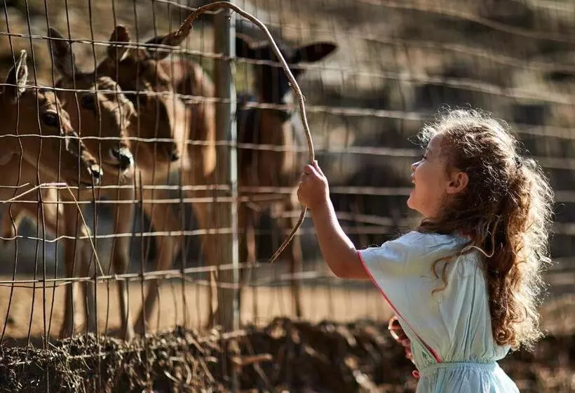 Makryammos Bungalows