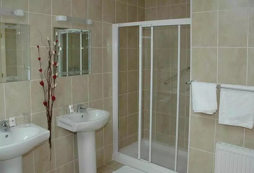 酒店 Dundrum House