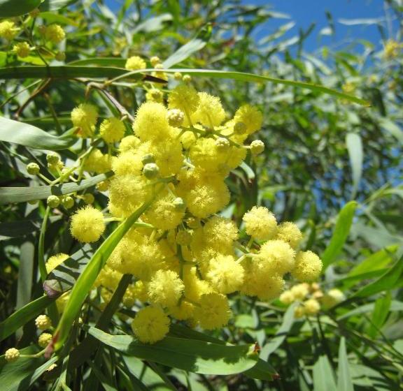 ホテル Hôtel Cap Soleil