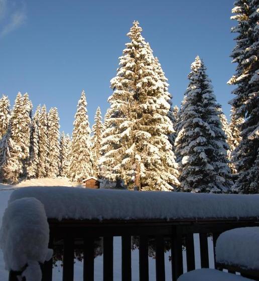 هتل Hôtel Chalet Le Caribou