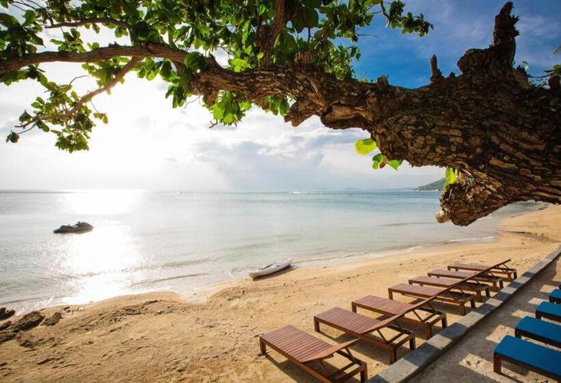 ホテル Sunset Beach Club