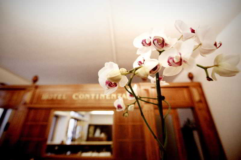 فندق Continental