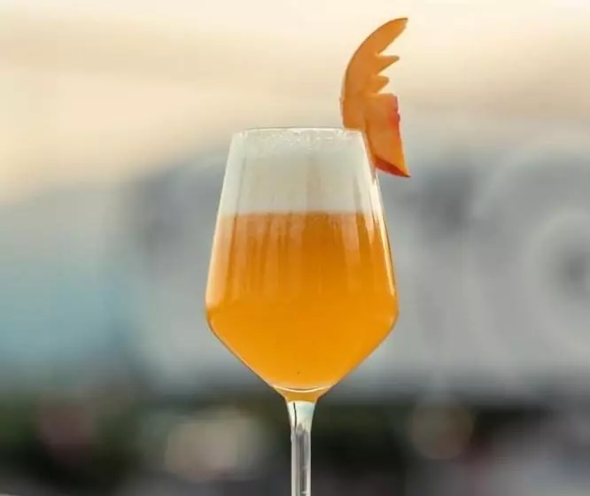 בית מלון כפרי Continental