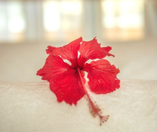 هتل Tropical Biosphere