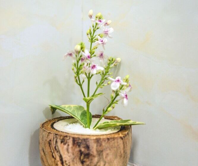 هتل Tropical Biosphere