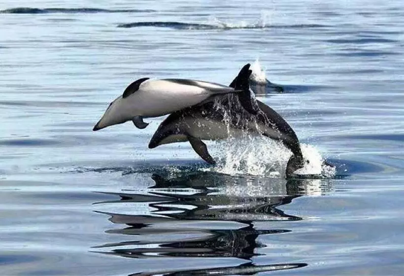 پانسیون Ci  Ritorno View