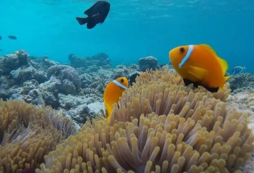 پانسیون Ci  Ritorno View