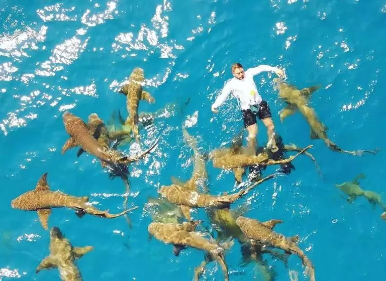 پانسیون Ci  Ritorno View