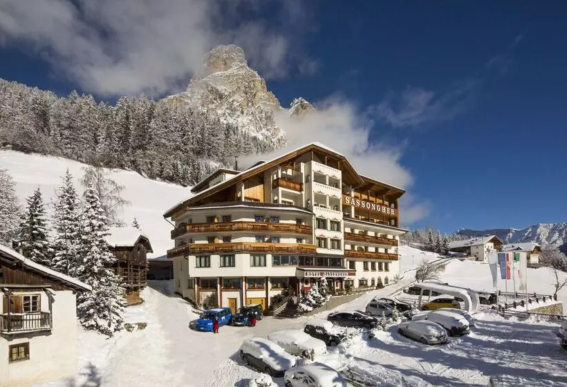 호텔 Sassongher