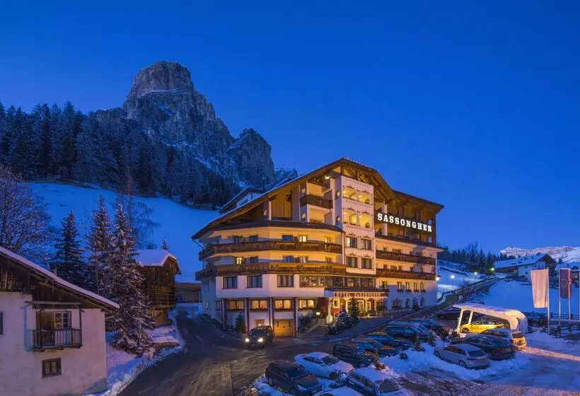호텔 Sassongher