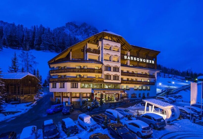 هتل Sassongher