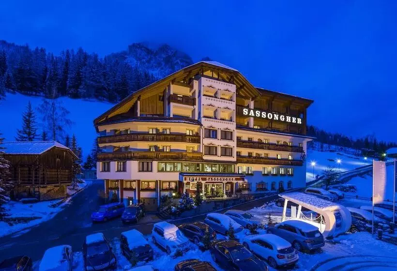 호텔 Sassongher
