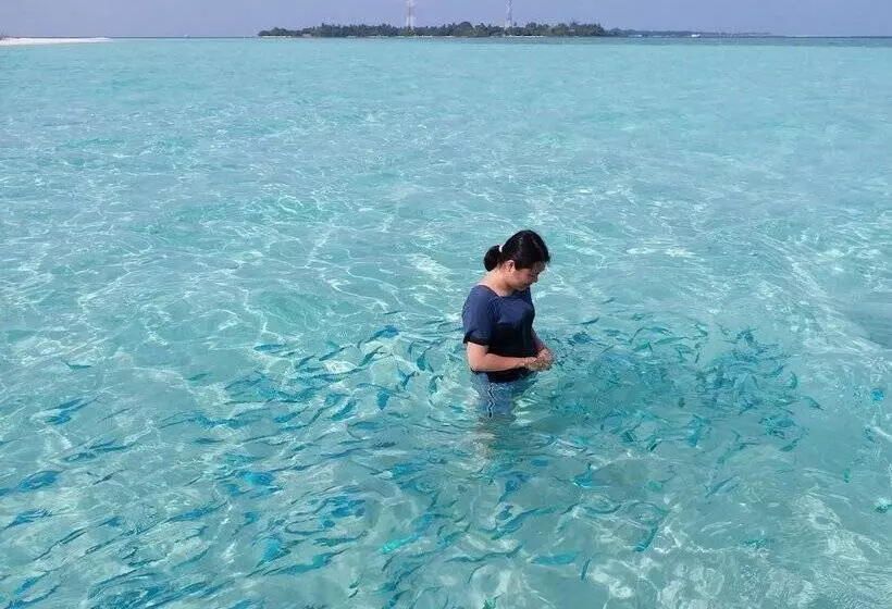 هتل Quicksand Rasdhoo