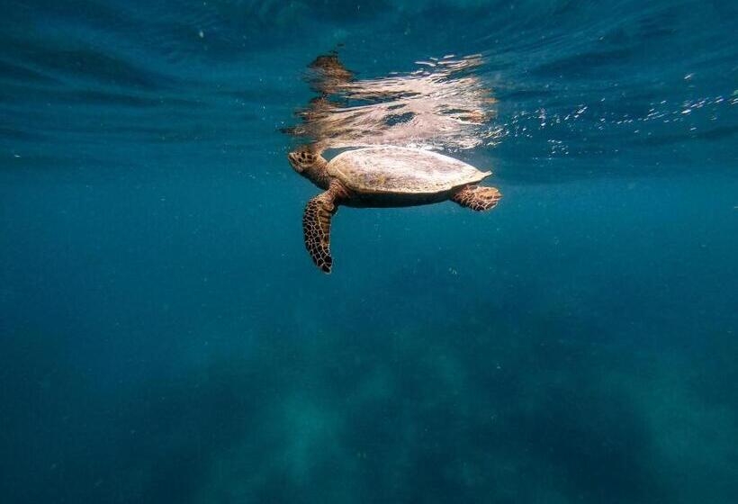 پانسیون Dhiffushi Inn