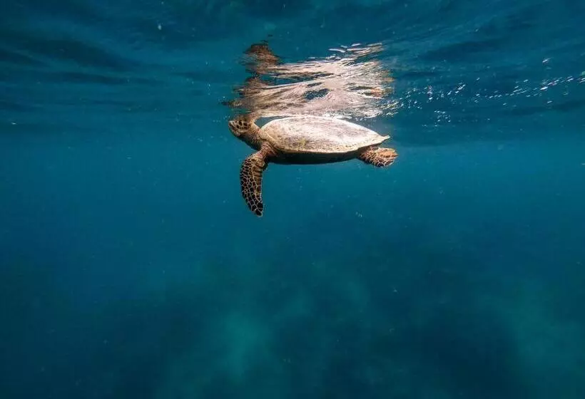 پانسیون Dhiffushi Inn